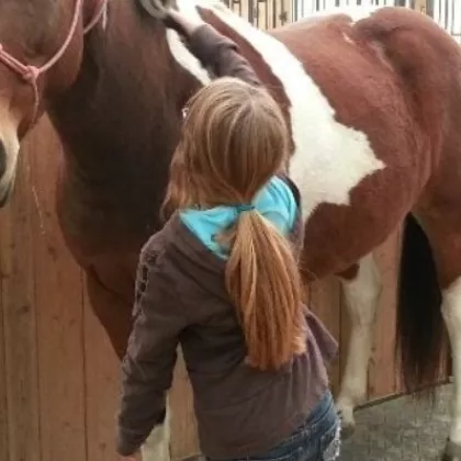 brown horse with a girl standing next to it grooming it. 