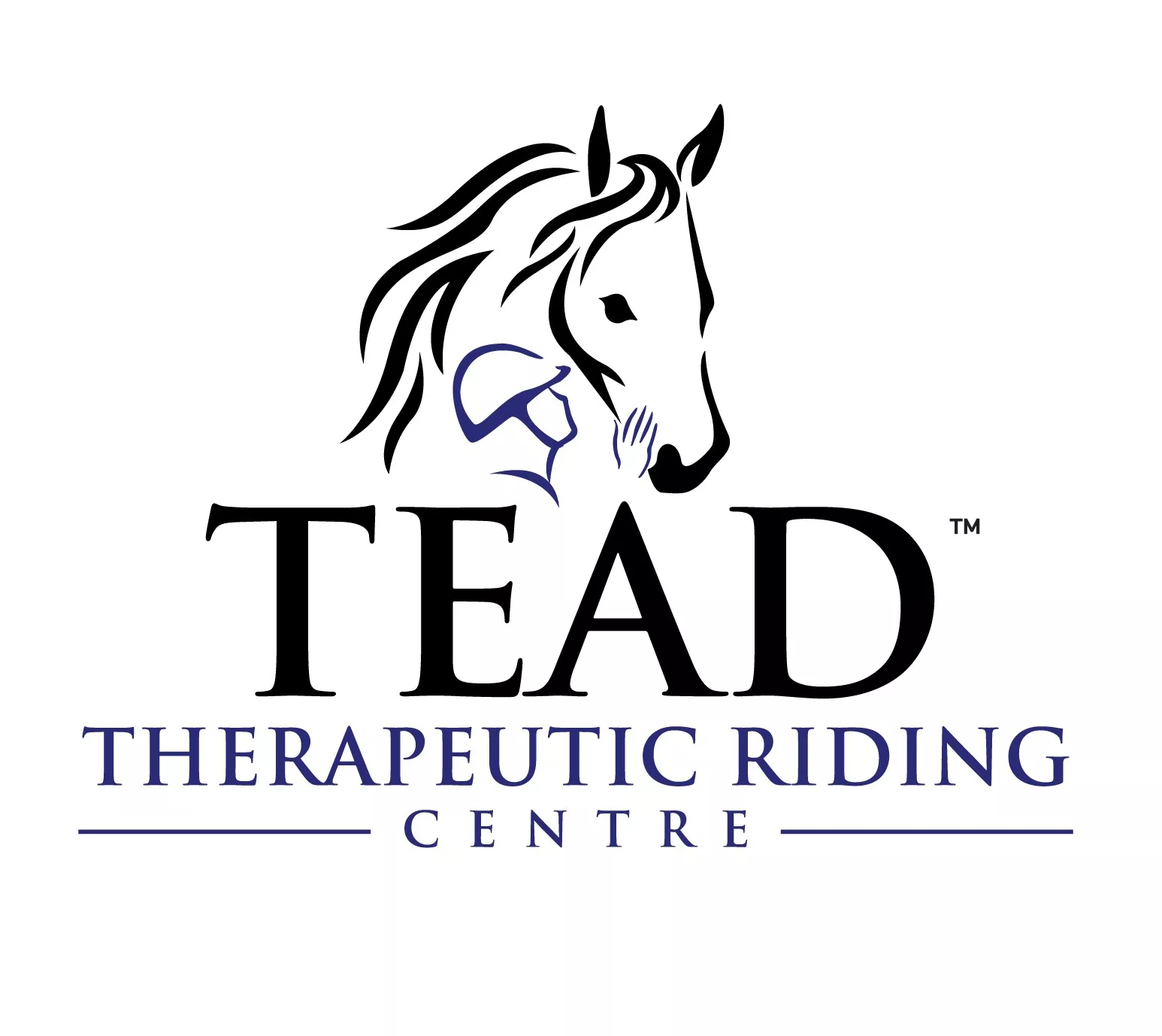 New TEAD logo