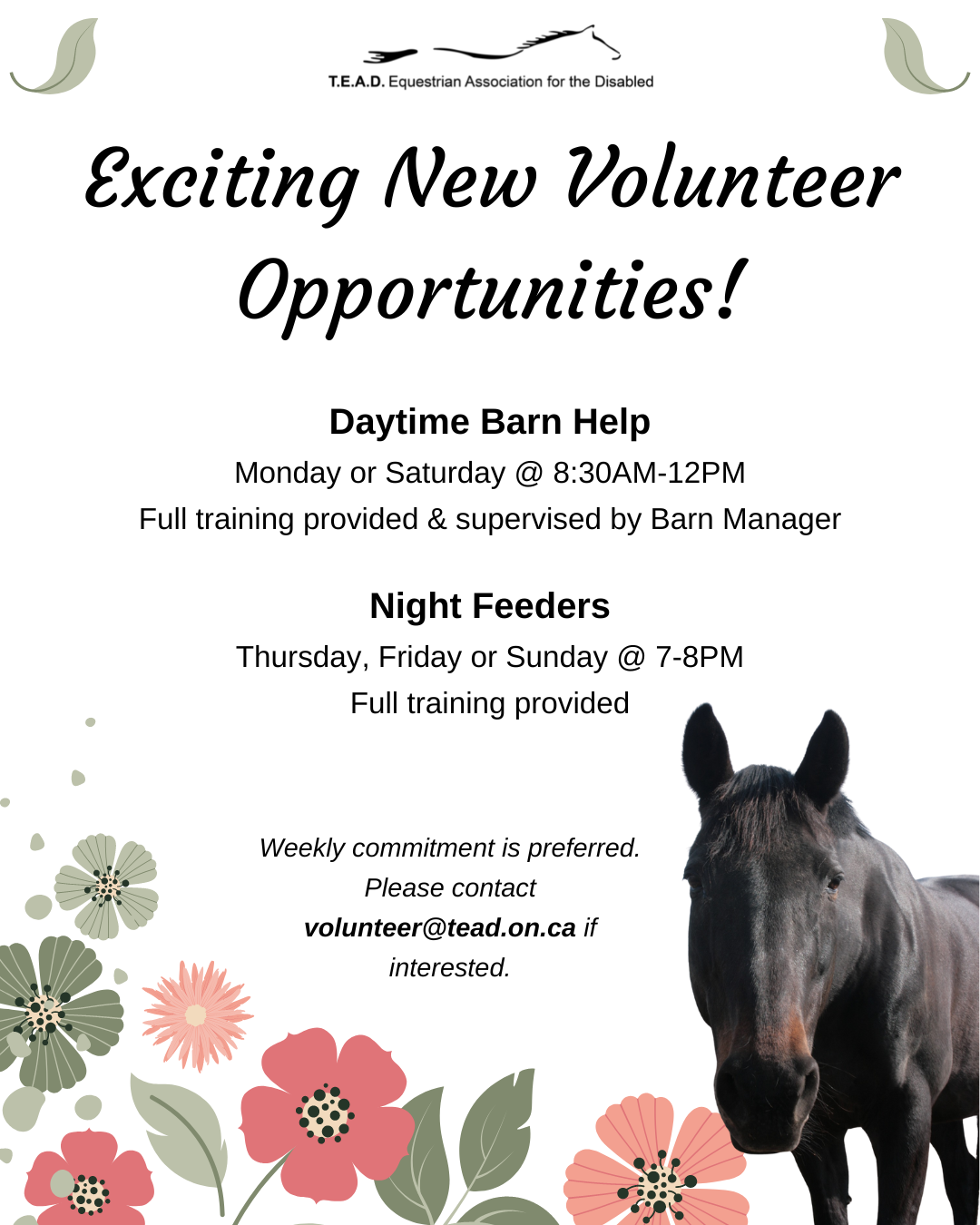 Barn volunteers needed for daily barn shifts and night feed.