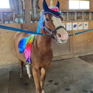 Opie dressed as a unicorn for Halloween!