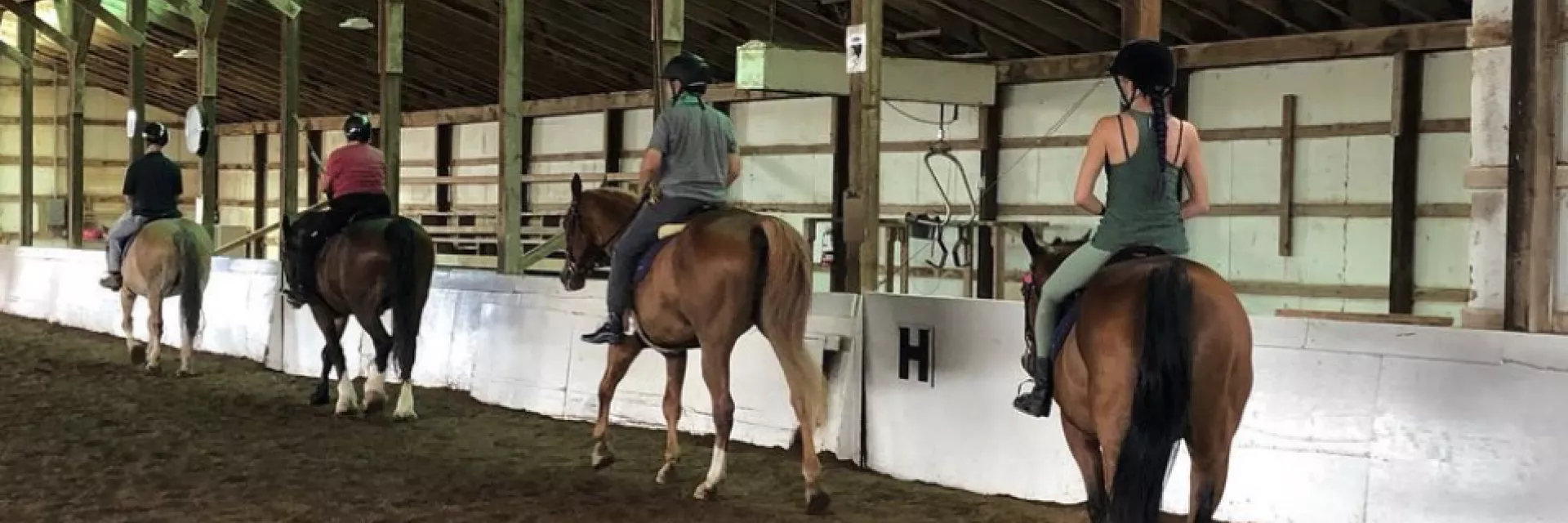 4 participants riding at a walk in our indoor arena