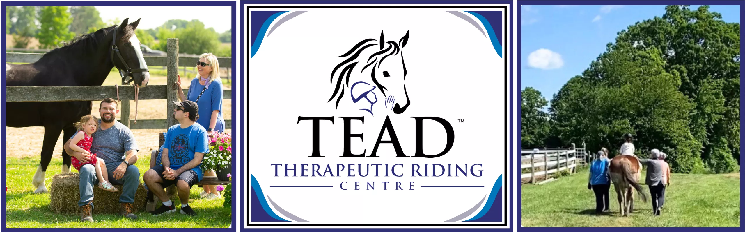 Welcome to TEAD Therapeutic Riding Centre
