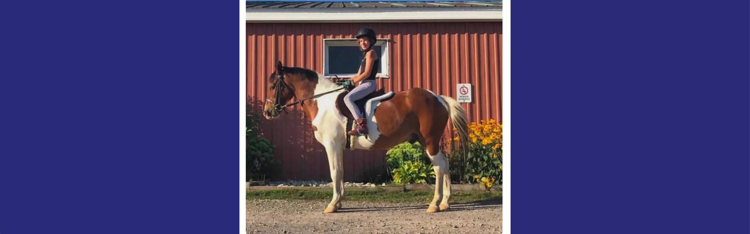 Riding Camp horse