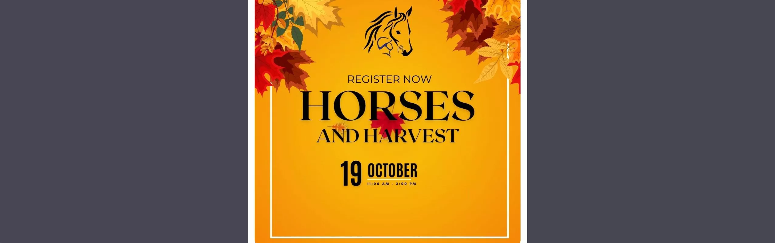 Horses and Harvest Banner
