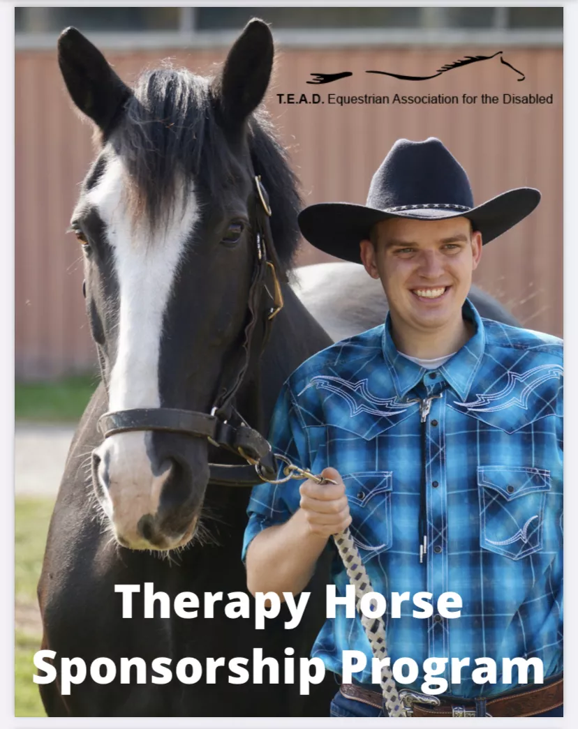 TEAD's Therapy Horse Sponsorship Package