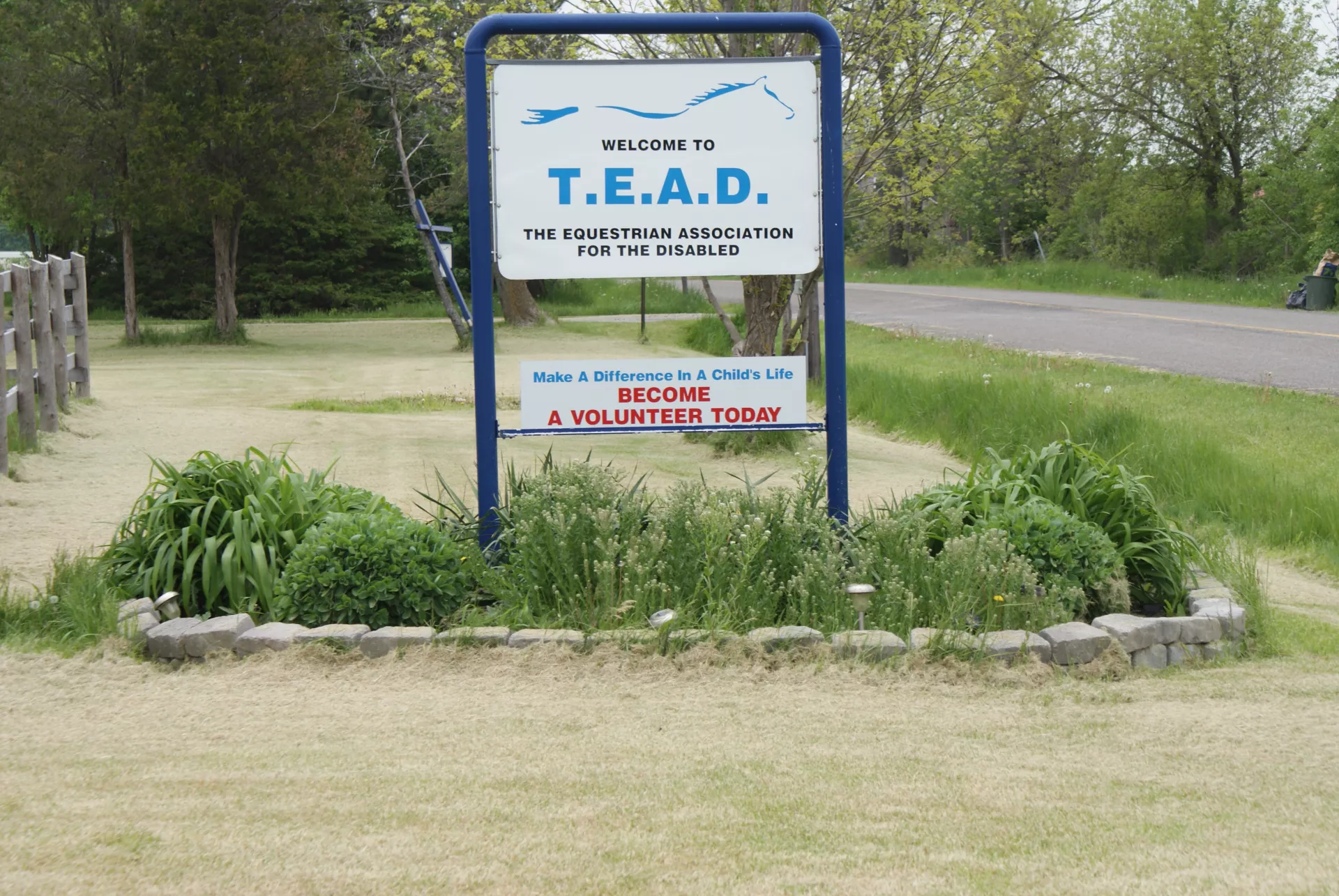 TEAD sign.