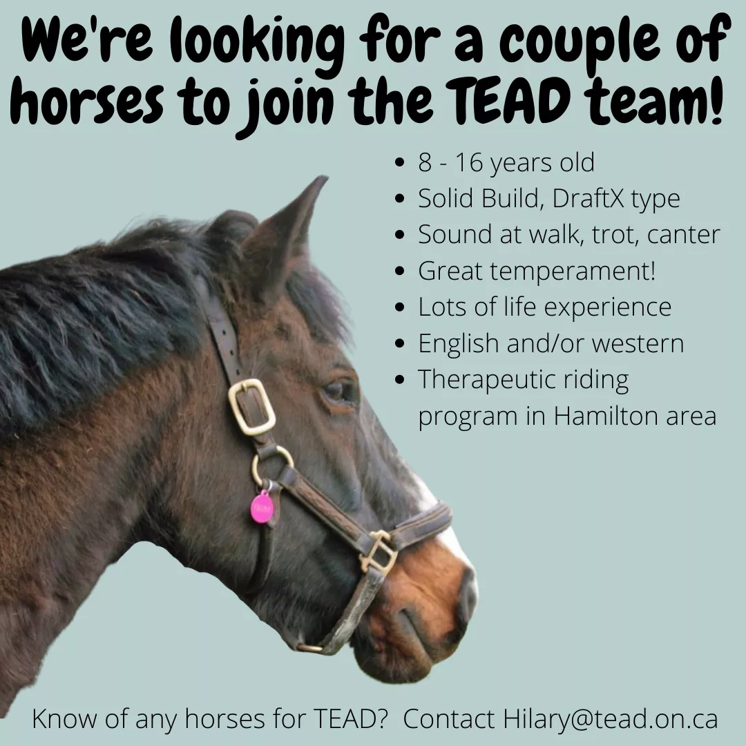 We're looking for a couple new horses at TEAD
