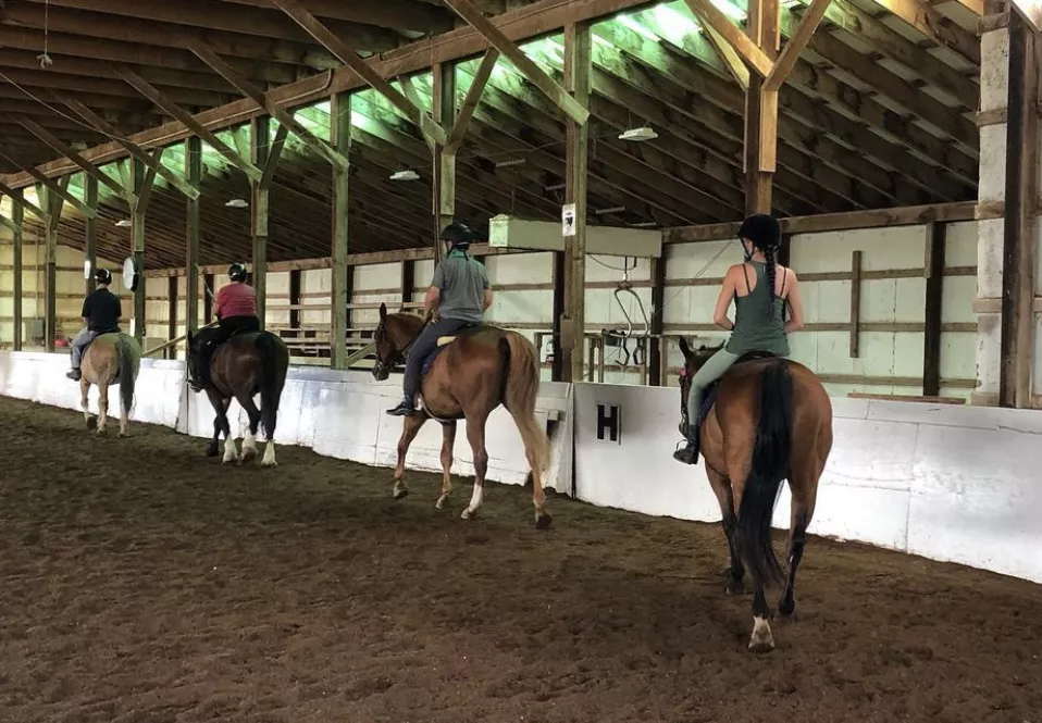 4 participants riding at a walk in our indoor arena