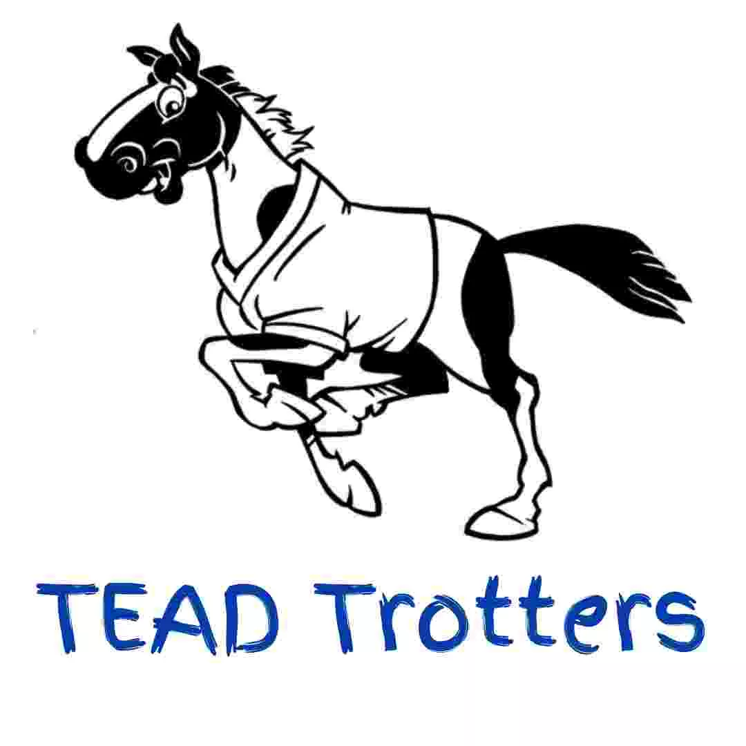 A cartoon paint horse trotting with  a t-shirt - the TEAD trotters logo!