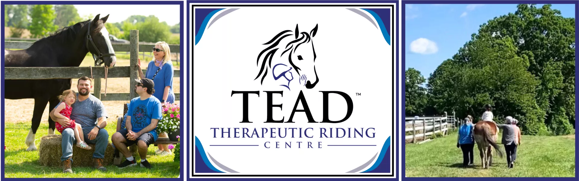Welcome to TEAD Therapeutic Riding Centre Image of horses and families